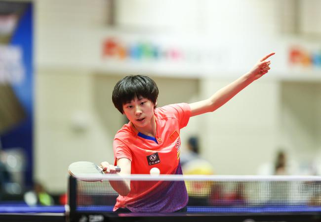 旅游的发展 旅游的发展